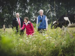 Natur-Blumenwiese Bislicher Inseln Xanten 0624